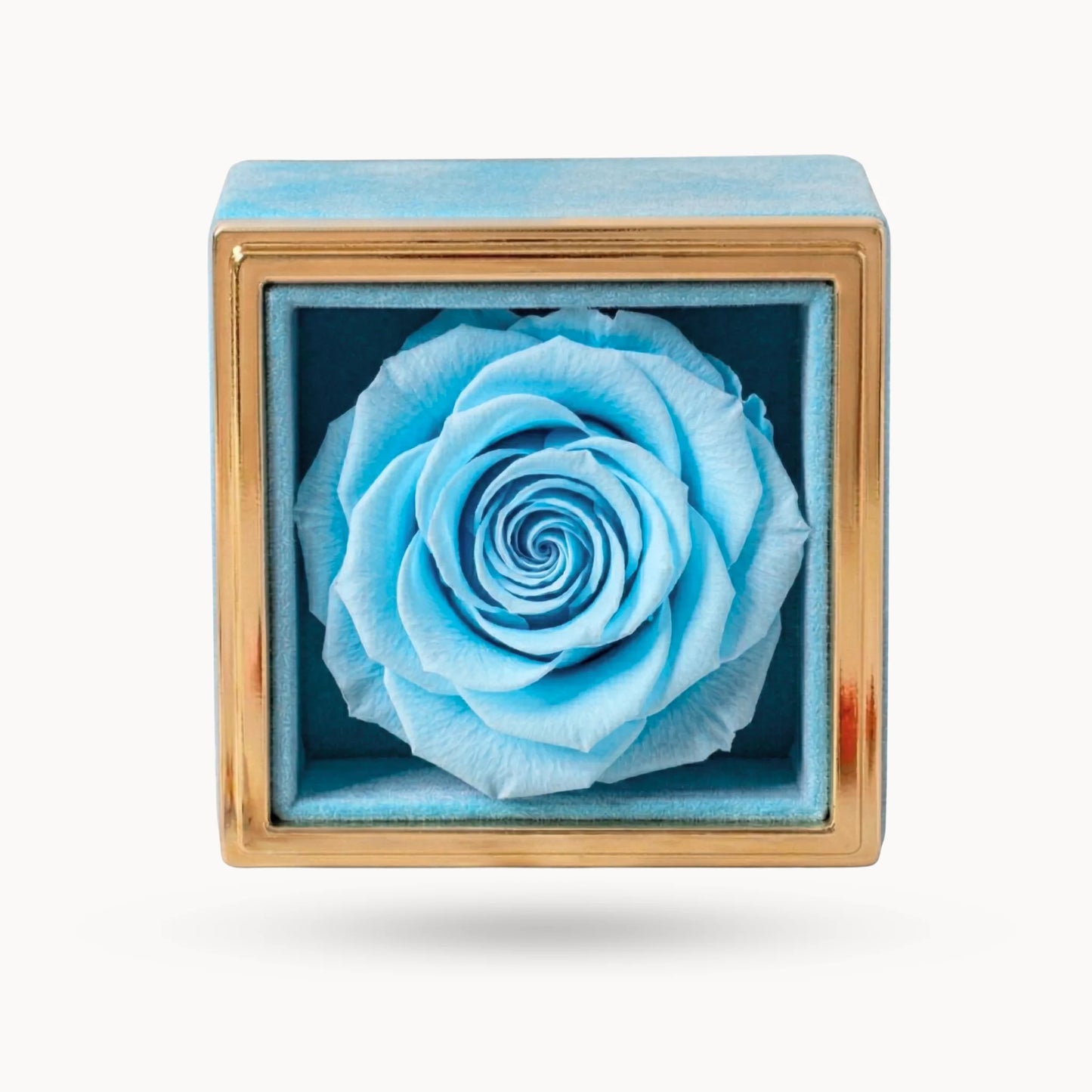 Box Rosa Eterna