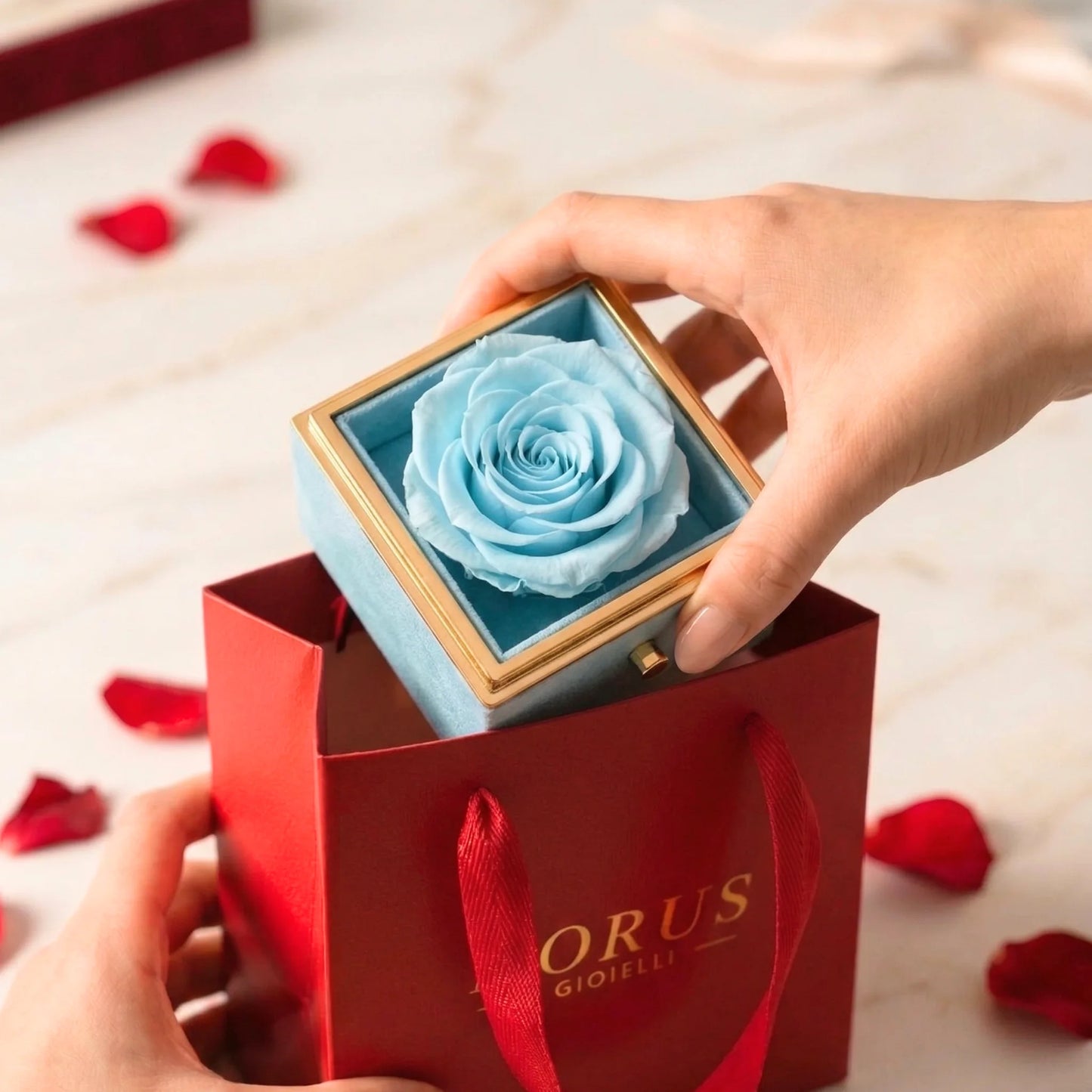 Box Rosa Eterna