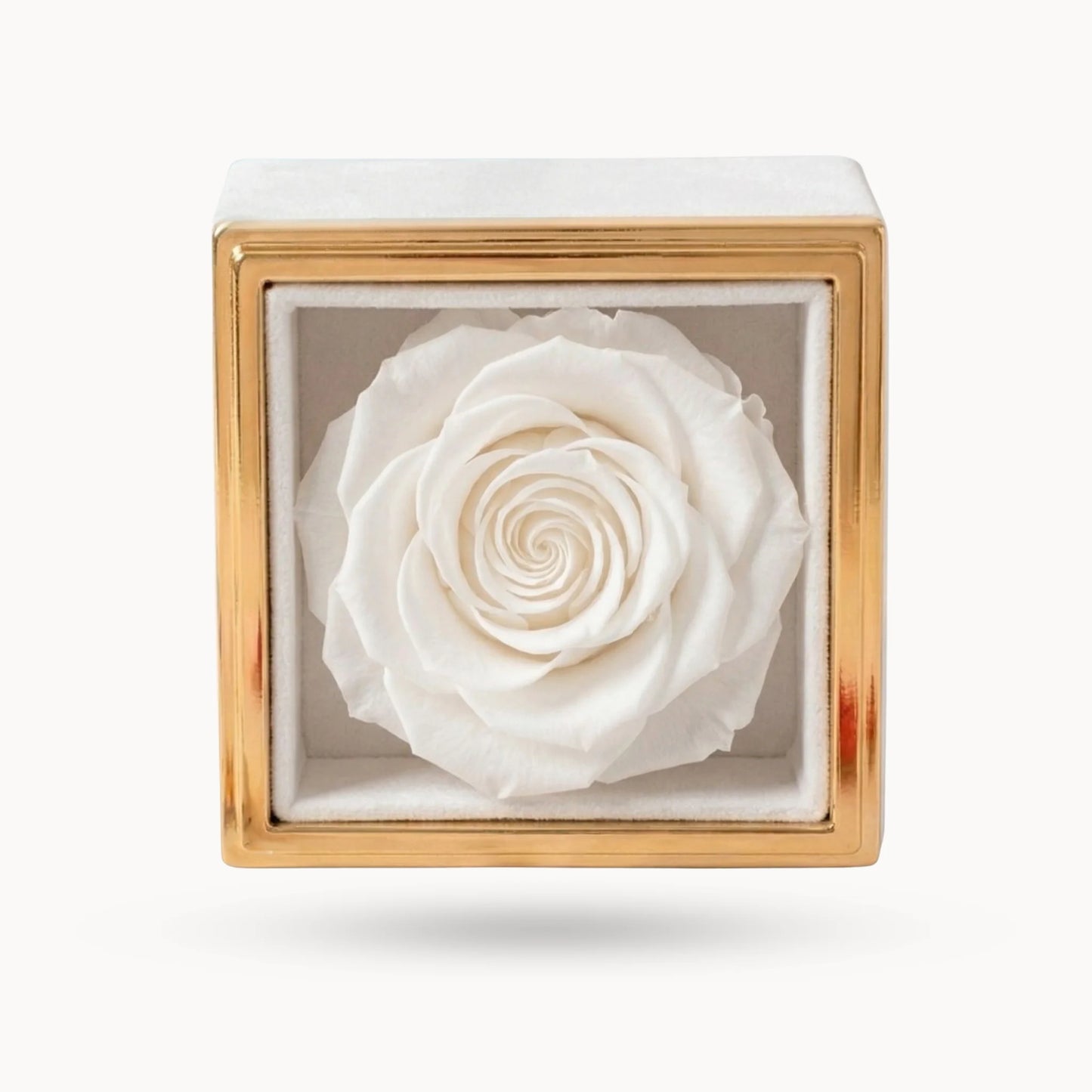 Box Rosa Eterna