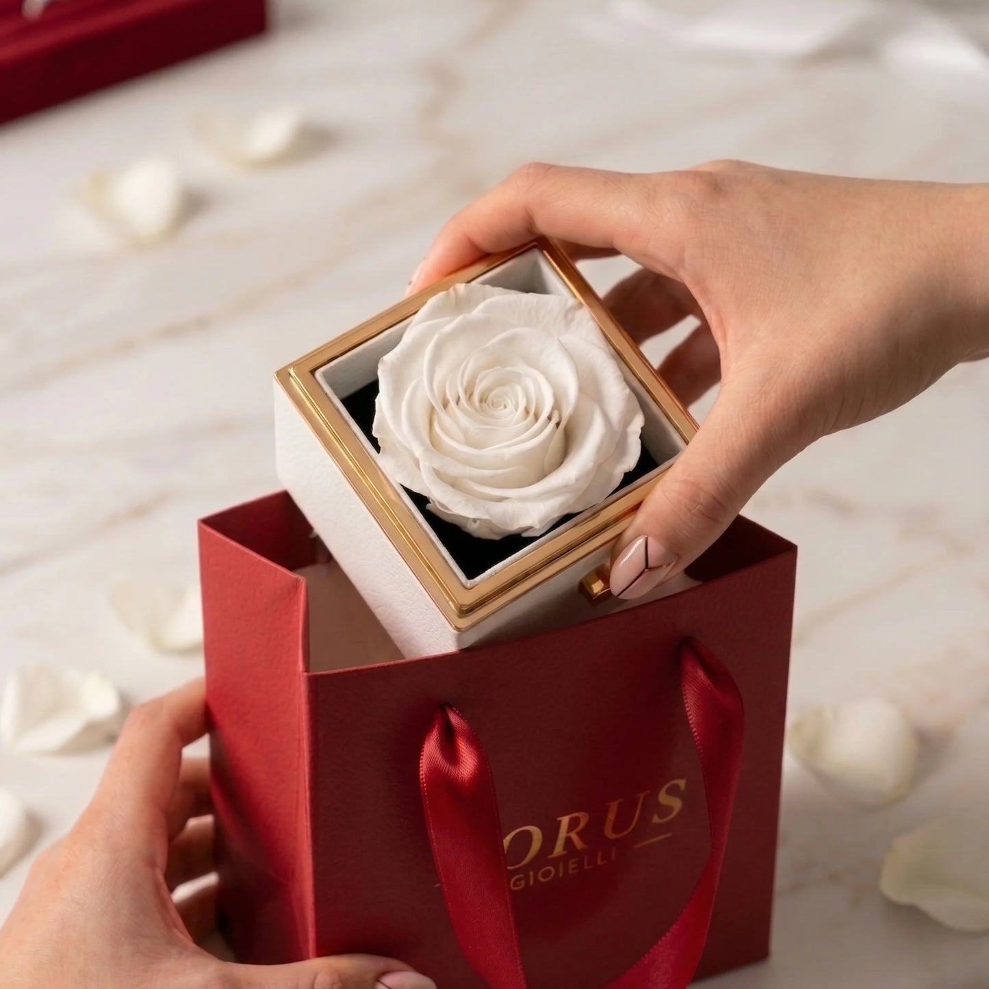Box Rosa Eterna