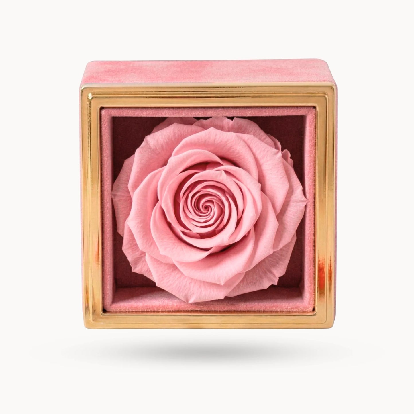 Box Rosa Eterna