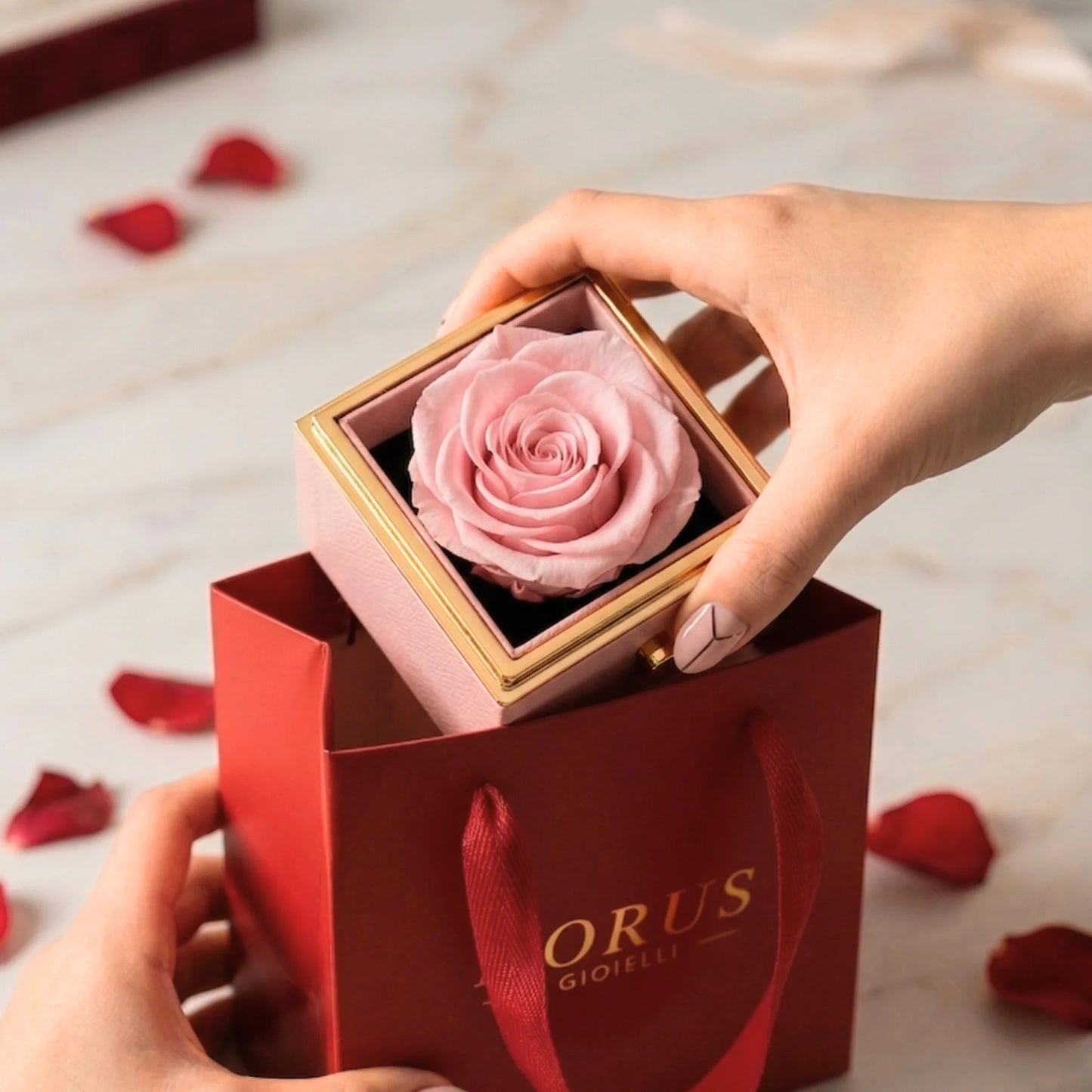Box Rosa Eterna