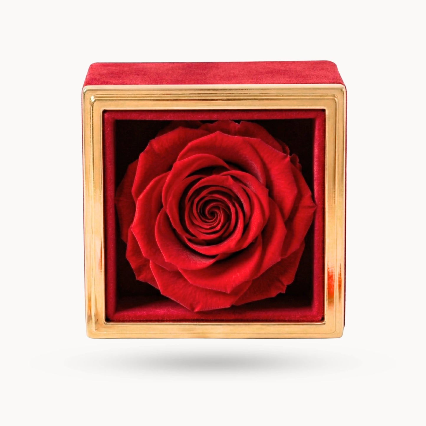 Box Rosa Eterna