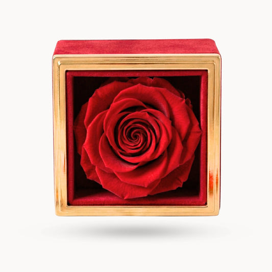 Box Rosa Eterna